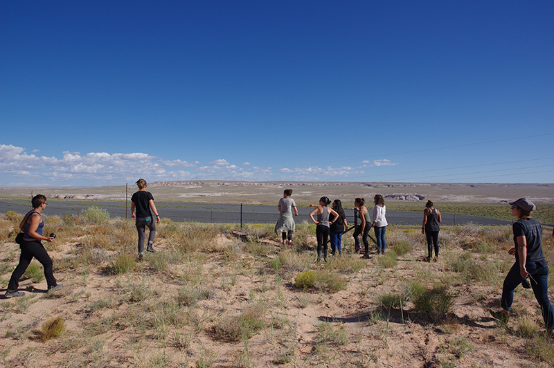 Land Arts of the American West