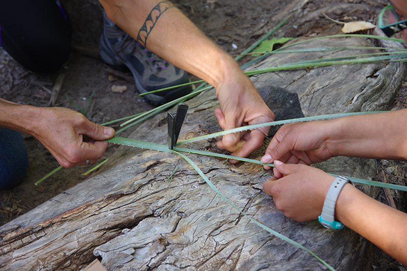 Land Arts of the American West