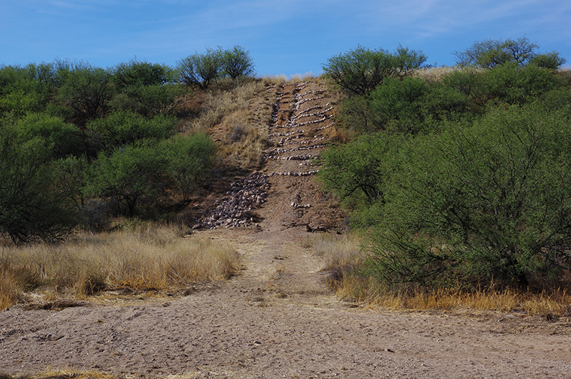 Land Arts of the American West