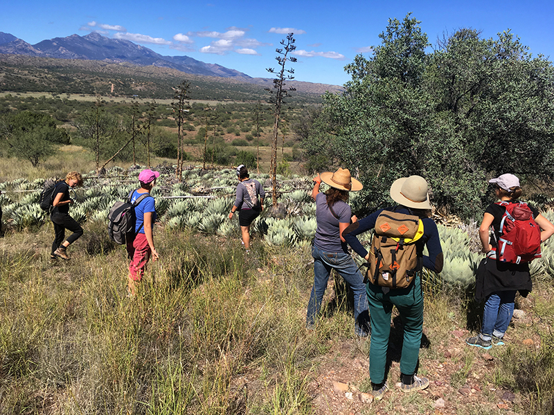 land arts of the american west