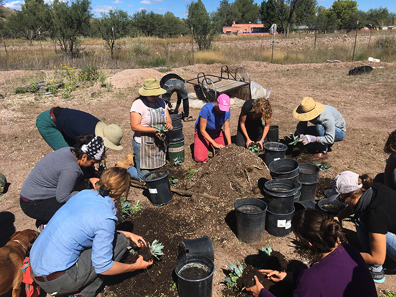 land arts of the american west