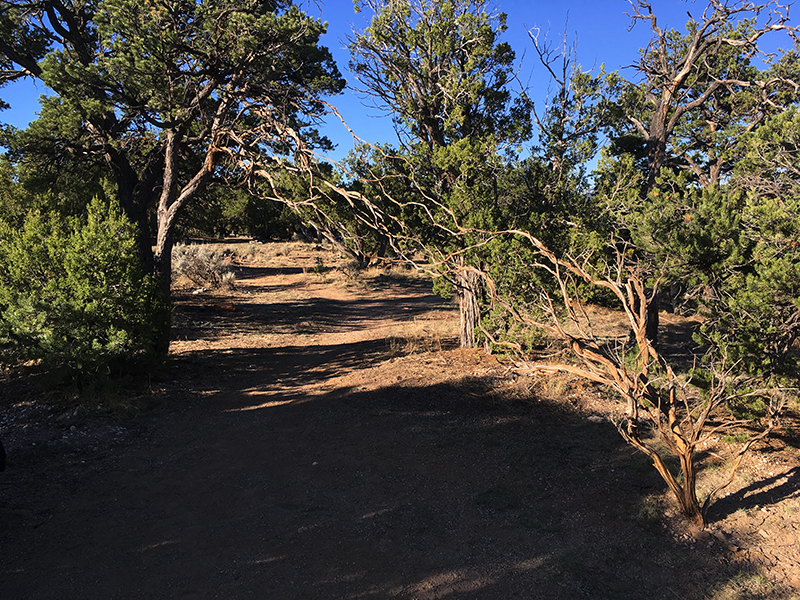 land arts of the american west