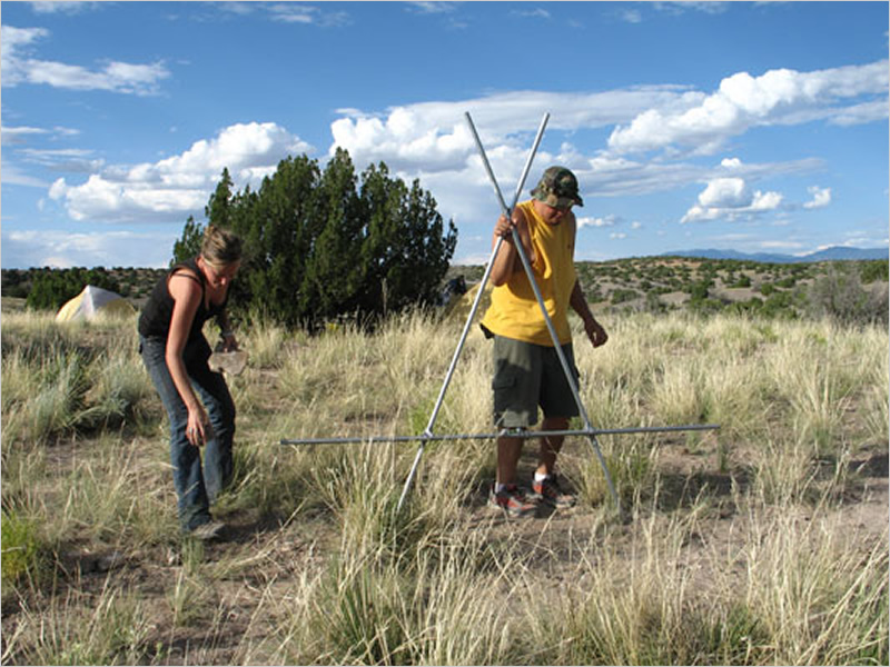 Land Arts of the American West