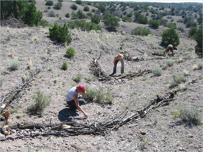 Land Arts of the American West