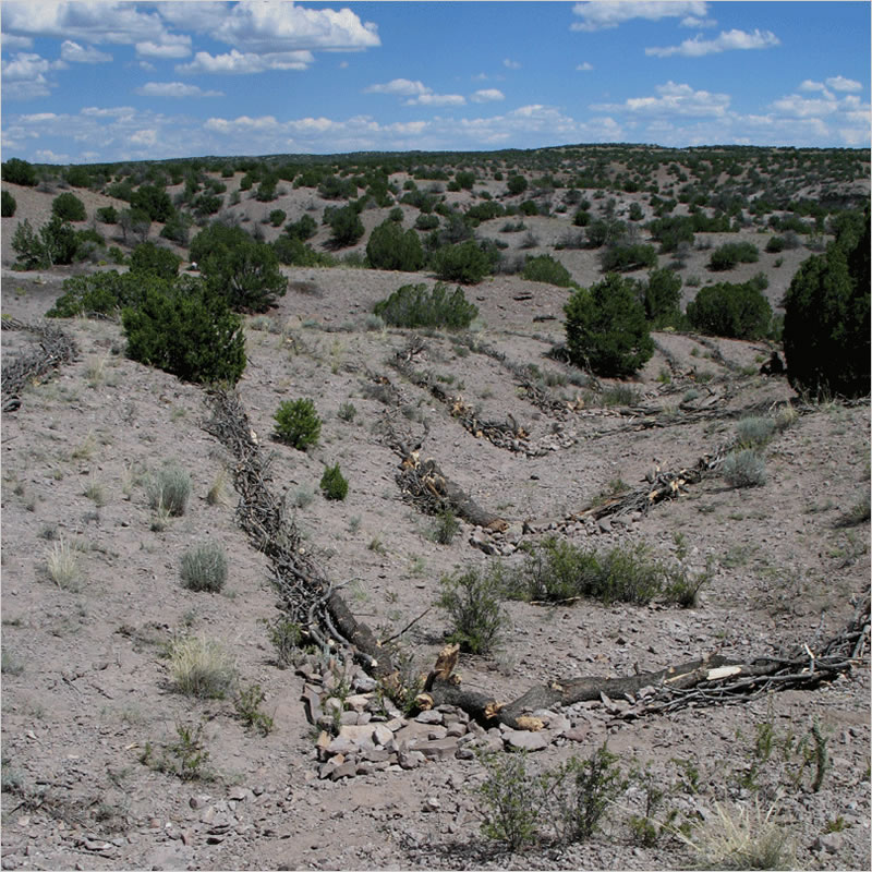 Land Arts of the American West