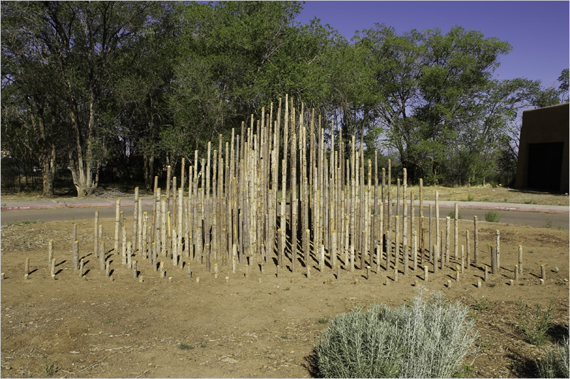 Land Arts of the American West