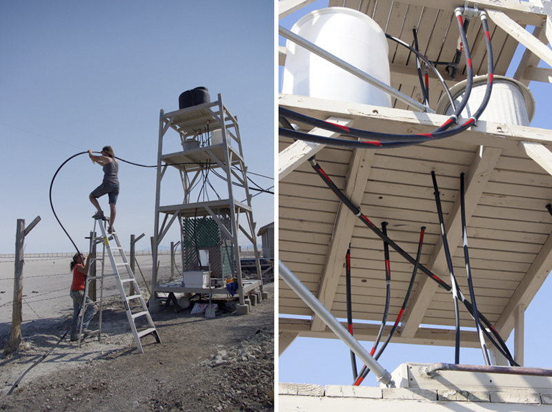 Land Arts of the American West