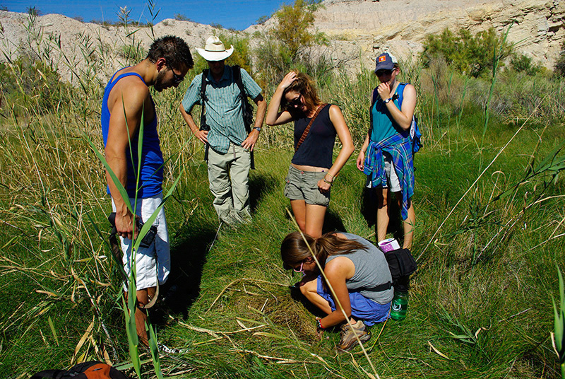 Land Arts of the American West