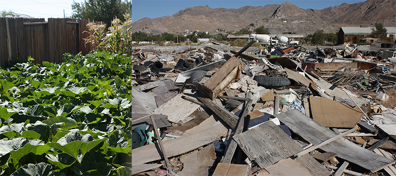 Land Arts of the American West