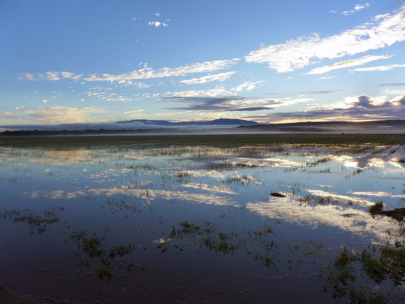 Land Arts of the American West