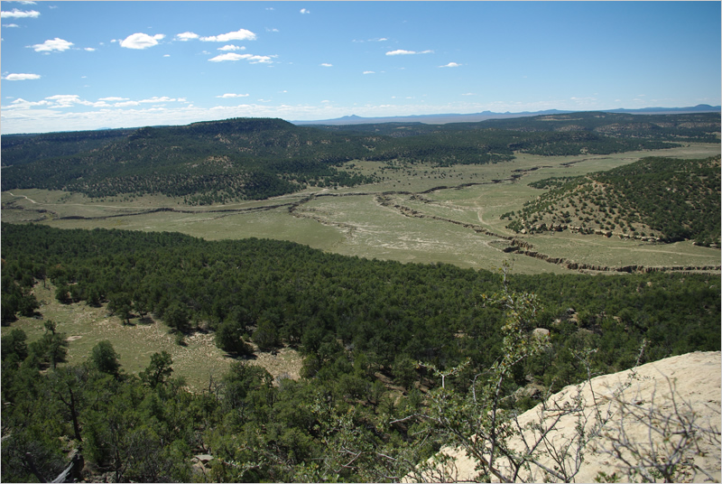 Land Arts of the American West