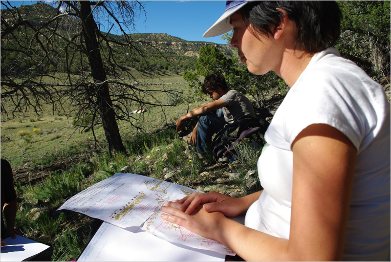 Land Arts of the American West