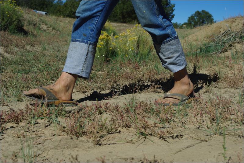 Land Arts of the American West