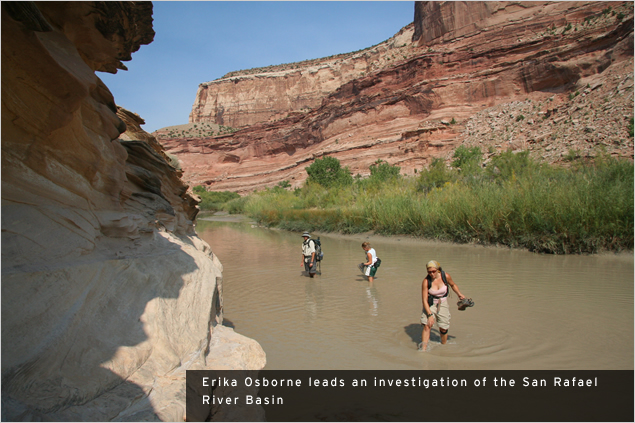 Land Arts of the American West