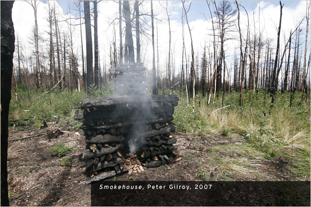 Land Arts of the American West