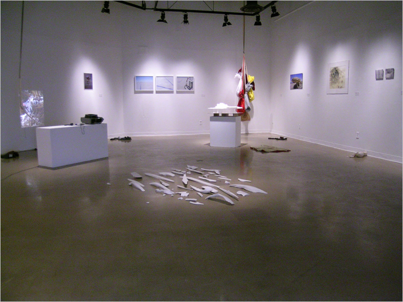 Land Arts of the American West art gallery section image